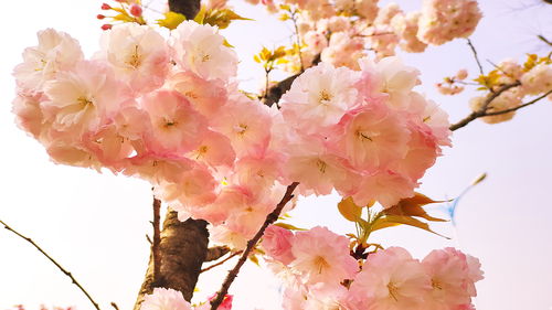 愛(ài)吃白食的人,欲壑難填,不值得維護(hù)